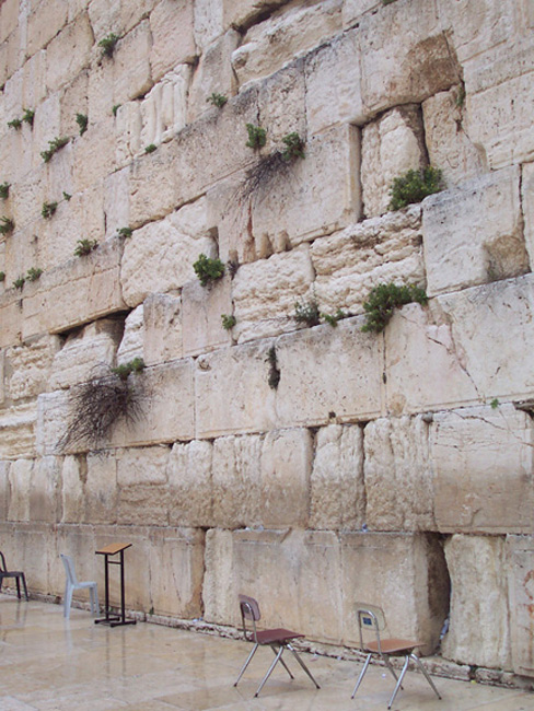 A quiet moment at the Western Wall