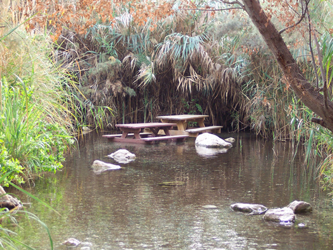 A picnic in the water at Einot Tzukim (Ein Fashcha)