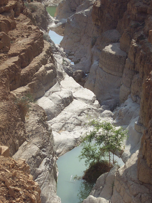 Ein Gedi canyon