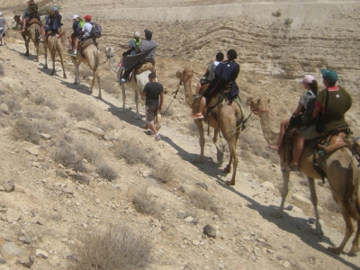 Camel riding at Eretz Beresheet (Genesis Land)