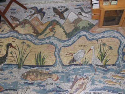 Mosaic floor of Akko Tunisian Synagogue