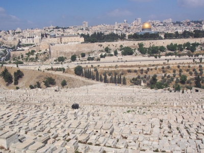 Jerusalem from the Mt. of Olives